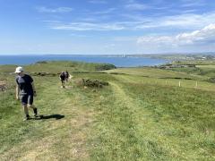 Up towards Bolberry Down